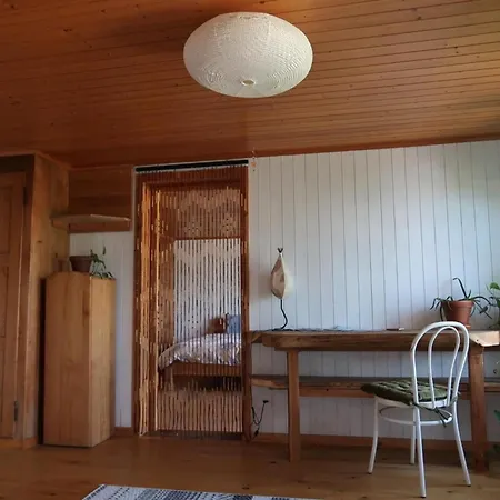 샬레 Lakeview 1 , Drligen Därligen